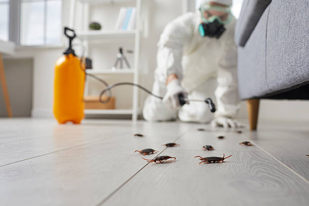 Commercial Kitchen Cockroach Control in Crivitz